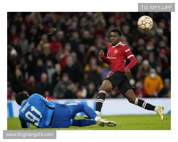 巴洛图雷迪亚洛费弗尔西纳约科